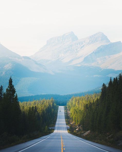 Endless roads through Alberta 🏔Wilderness Tones Explorer @driftingphoto Have an amazing wilderness adventure to… Endless Road Wallpaper, Road Wallpaper, Long Winding Road, Take The Long Way Home, Endless Road, Travel North America, Long Way Home, Beautiful Roads, Winding Road