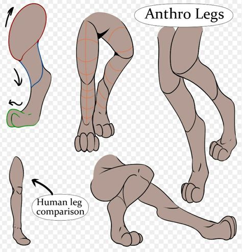 Cat Legs Drawing Reference, Anthro Cat Legs Reference, Sheep Fursona Base, Cat Legs Drawing, Rabbit Legs Drawing, Paw Art Reference, Anthro Body Base, Anthro Art Reference, Animal Legs On Human