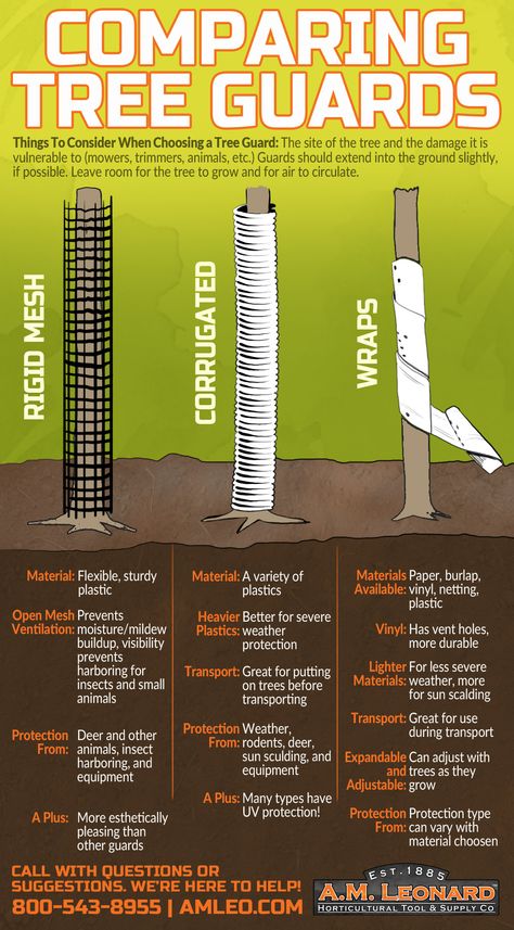 How To Propagate A Tree Branch, Tree Guard Ideas, Tree Guards, Tree Protection, Fruit Trees Backyard, Fruit Orchard, Tree Stakes, Pruning Fruit Trees, Tree Support