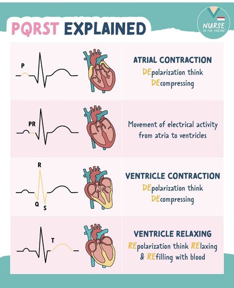 Nursing School Studying Cheat Sheets, Nurse Skills, Medical Assistant Student, Paramedic School, Nursing School Essential, Nursing Study Guide, Kedokteran Gigi, Nursing School Motivation, Medical School Life