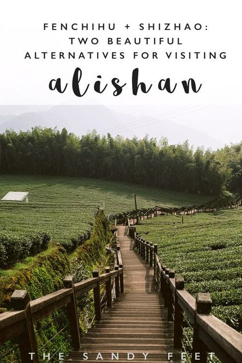 A Short Guide To Shizhao + Fenchihu | Two Serene Alternatives For Visiting Alishan - The Sandy Feet #taiwan #traveltaiwan #asia #travelasia #alishan #hiking Alishan Taiwan. Alishan Hiking Trails. How To Get To Alishan. What To Do In Alishan. Most Beautiful Places In Taiwan. Things To Do In Taiwan. Places To Visit In Taiwan. Hiking Taiwan. Alishan Sunrise. Alishan Tea. Alishan Taiwan, Travel Taiwan, Asian Travel, Travel Secrets, Backpacking Asia, Russia Travel, Taiwan Travel, Travel Wishlist, Travel Asia