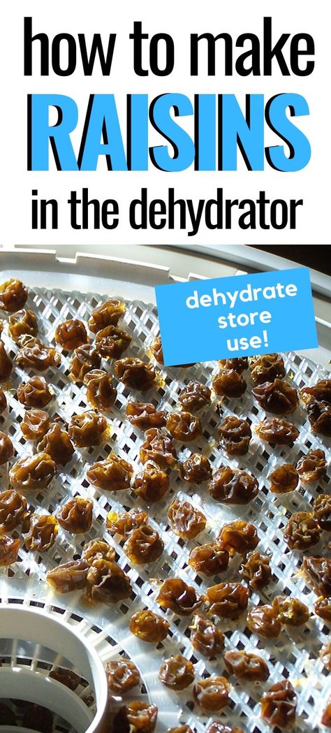 Dehydrating Grapes, Dehydrated Grapes, Homemade Raisins, How To Make Raisins, Dehydrating Recipes, Dehydrating Food Storage, Harvest Ideas, Trad Wife, Dried Raisins