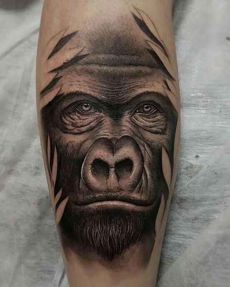 Gorilla Face Tattoo, Africa Tattoos, Gorilla Tattoo, Shiva Tattoo Design, Shiva Tattoo, Sketch Tattoo, Sketch Tattoo Design, Face Tattoo, Lion Tattoo