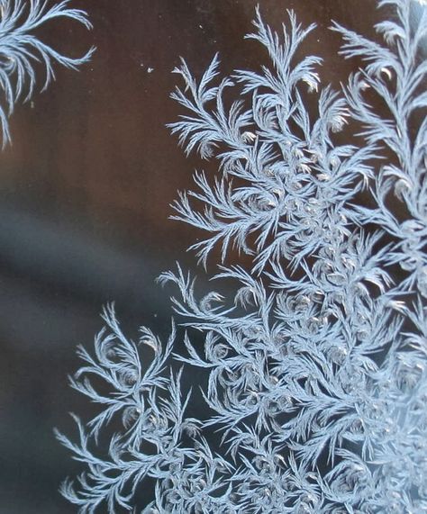 Frost on Glass: Ice Flower Art ~ Kuriositas Winter Frost, Ice Crystals, Airbrush Art, Winter Magic, Winter Beauty, Snow And Ice, Winter Wonder, E Card, Zentangle Art