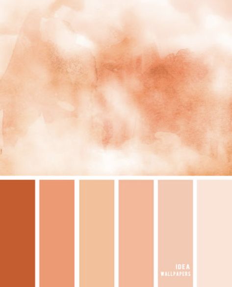 Peach Combination, Peach Color Palette, Peach Color Palettes, Peach Watercolor, Pantone Colour Palettes, Brand Color Palette, Color Inspo, Colour Board, Peach Color