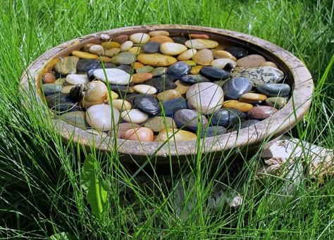 Vegetable Garden For Beginners, Bird Bath Garden, Garden Features, Garden Cottage, Zen Garden, Front Garden, Rock Garden, Japanese Garden, Small Garden