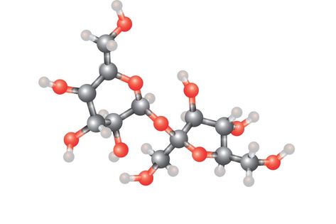 A new open-source project employs a neural network to create names for organic compounds compliant with the IUPAC nomenclature systems - showing the potential of this technology to efficiently handle exact algorithmic problems. Naming Organic Compounds, Iupac Nomenclature, Organic Molecules, Create Name, Artificial Neural Network, Organic Compounds, Open Source Projects, Neural Network, Network Solutions