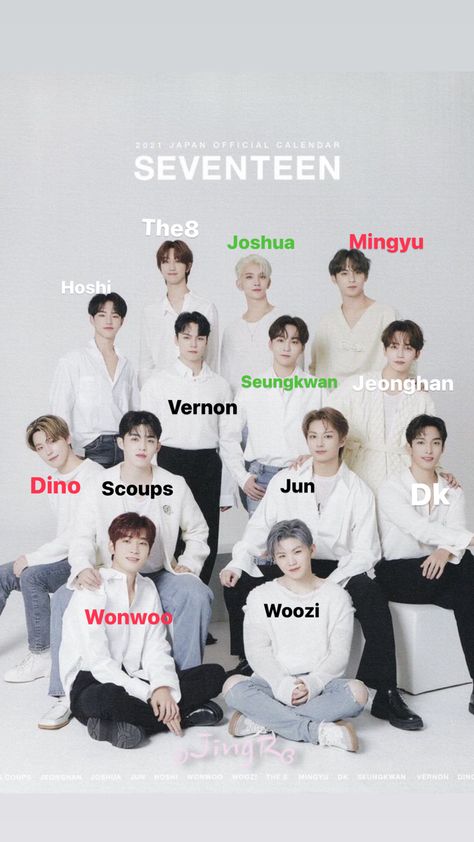 Name and faces of members of seventeen Seventeen Group Names, Svt Group Photo With Names, Trainee A Members Names, Svt Members Name, 17 Kpop Group, Seventeen Kpop Group Photo, Svt Members With Names, Seventeen Names And Faces, Only One Of Kpop Members