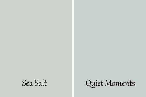 Benjamin Moore Quiet Moments Kitchen, Rain Dance Benjamin Moore, Benjamin Moore Quiet Moments Bathroom, Quiet Moments Benjamin Moore Bathroom, Benjamin Moore Quiet Moments Bedroom, Best Green Paint Colors Benjamin Moore, Quiet Moments Benjamin Moore Bedroom, Soft Fern Benjamin Moore, Benjamin Moore Sea Foam