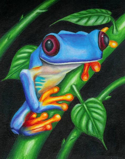 Frog People, Tree Frog Art, Tree Frog Tattoos, Frog Tattoos, Frog Pictures, Frog Drawing, Colored Pencil Artwork, Funny Frogs, Frog Art