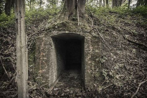 Secret Hideout Outside, Hidden Bunker, Apocalypse Bunker, Murray Bauman, Shelters In The Woods, Abandoned Exploration, Underground Building, Secret Bunker, Ww1 Art