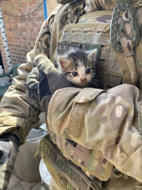 Ukrainian soldiers save animals at the Frontline 🙏❤️ Soldiers With Cats, Us Soldiers Afghanistan, Iran Army Soldiers, Neet Soldiers, National Guard Aesthetic, American Army Soldiers, Army Pfp, Ukraine Soldier, Cute Soldier