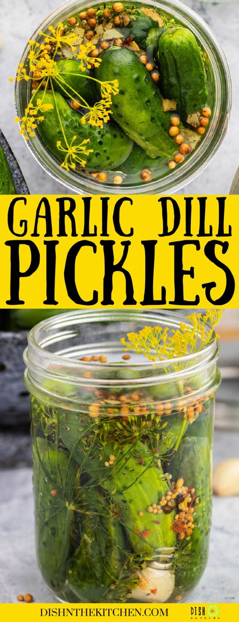 These Garlic Dill Pickles are just like the ones grandma used to make. They’re salty sour and full of pucker power! Homemade pickles are far superior to any store bought pickles and making them yourself is so satisfying. Learn how to make a batch of homemade pickles with this easy guide. How To Make Pickles From Cucumbers Dill, Dill Pickles With Alum, Spicy Garlic Dill Pickle Recipe, Cold Brine Dill Pickles, Homemade Pickle Flavors, Small Batch Pickles Recipes, Homemade Garlic Dill Pickles, German Dill Pickles, Small Batch Dill Pickles