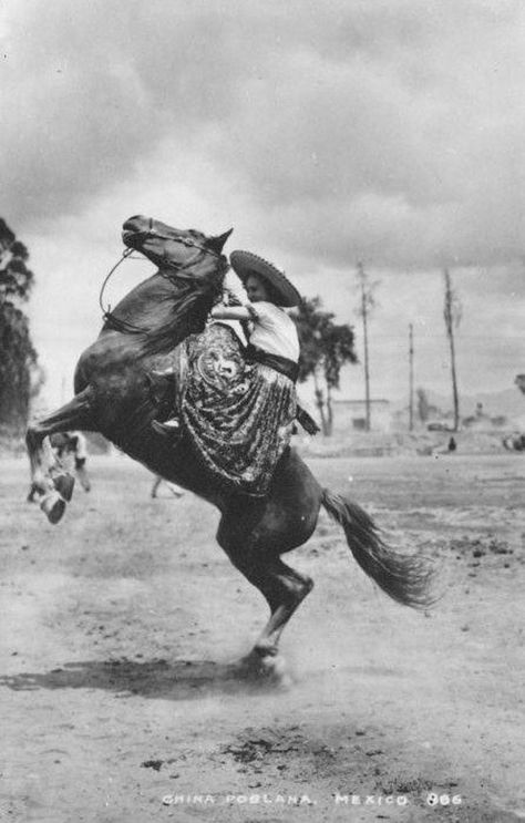 Goth Vaquera, Western Grunge, Mexican Revolution, American Buffalo, Mexico History, Wilde Westen, Vintage Cowgirl, Image Nature, Mexican Culture