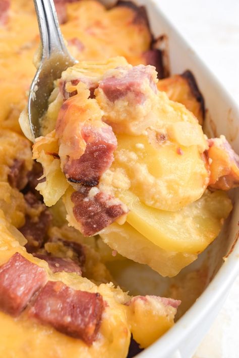 Cheesy ham and potato casserole is the perfect simple weeknight dinner! A rich and creamy cheese sauce pairs beautifully with savory ham and buttery potatoes. With just a few simple steps and ingredients, you'll have yourself a delicious and cozy meal. Ham And Potato Casserole Recipes, Ham And Scalloped Potato Casserole, Cheesy Ham And Potato Casserole, Ham And Potato Recipes, Casserole Potatoes, Potatoes Parmesan, Cheese Potato Casserole, Ham And Cheese Casserole, Scalloped Potato Casserole