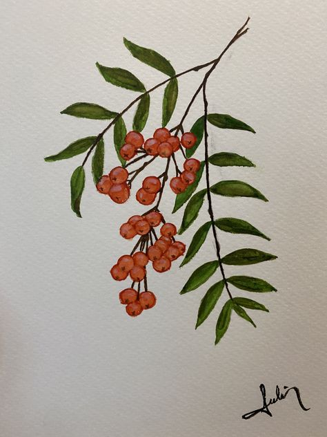 Rowan Berries Drawing, Rowan Tree Branch Tattoo, Rowan Tree Painting, Rowan Tree Art, Rowan Leaf Tattoo, Rowan Branch Tattoo, Rowan Drawing, Rowan Berry Tattoo, Rowan Branch