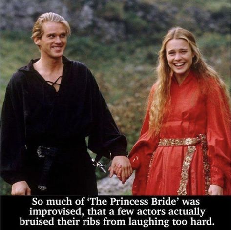 The Princess Bride Edits, The Princess Bride Funny Memes, Princess Bride Fanart, Princess Bride Wesley, Princess Bride Hair, The Princess Bride Wedding, The Princess Bride Aesthetic, Princess Bride Meme, Princess Bride Aesthetic