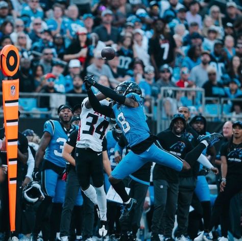 Carolina Football, Nfl Football Pictures, Football Pictures, Carolina Panthers, Nfl Football, Nfl, Football, Quick Saves, American Football