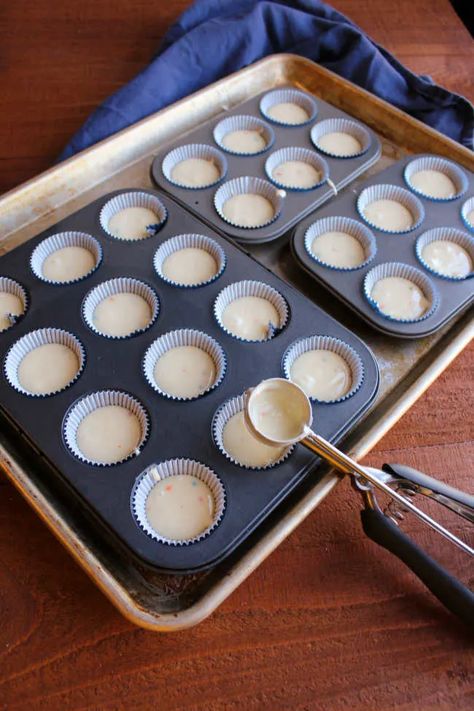 Mini Chocolate Chip Cupcakes, Cake Pan Recipes, Cupcake Cake Pan, Mini Cupcake Recipes, Cake Mix Cupcakes, Mini Cupcake Pan, Chocolate Chip Cupcakes, Yummy Deserts, Muffin Tin Recipes