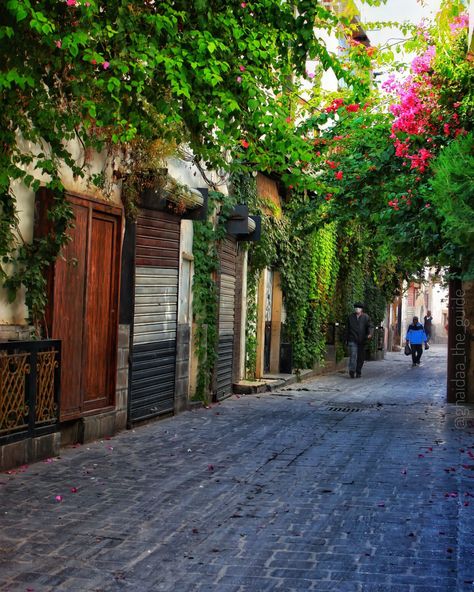 Syria Country, Syria Pictures, Old Damascus, Awsome Pictures, Damascus Syria, Mountain City, Green City, Old City, Photo Tips