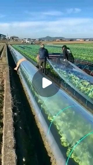 41K views · 1.2K likes | Agriculture Journeys on Instagram: "Farming techniques tools machine and gadgets  𝐕𝐈𝐒𝐈𝐓 my 𝐏𝐑𝐎𝐅𝐈𝐋𝐄__ @agriculture_journeys 😍 ".𝐊𝐄𝐄𝐏 𝐅𝐎𝐋𝐋𝐎𝐖𝐈𝐍𝐆__💯 "✓❤️♡__ _𝐋𝐈𝐊𝐄___♡❤️✓" "©✍️❍ ___𝐂𝐎𝐌𝐌𝐄𝐍𝐓___❍✍️⌲___𝐒𝐇𝐀𝐑𝐄___⌲✷" ⎙ ___𝐒𝐀𝐕𝐄___ ⎙  " "☞🎯___𝐅𝐎𝐋𝐋𝐎𝐖___☞"@agriculture_journeys ☜ ––––––––– 𝐓𝐔𝐑𝐍 🔛 𝐏𝐎𝐒𝐓 𝐍𝐎𝐓𝐈𝐅𝐈𝐂𝐀𝐓𝐈𝐎𝐍 🔔❝ ––––––––––  HASHTAGS . . . . . #farminggadgets #farminginspiration #farmingtools #tools #gadgets #gardeninghacks #farmers #farming #harvest #organicfarming #agriculture_journeys #organicgardening #permaculture #agriculture_global #agriculturebiologique #agricultureworld #agricultureworldwide #agriculture_technique #agriculture_worldwide #naturelovers #trees #plants #crops" Organic Farming Ideas, Farming Ideas Agriculture, Agriculture Tips, Farming Tools, Minimal Calendar, Math Models, Agriculture Machine, Precision Agriculture, Agricultural Tools