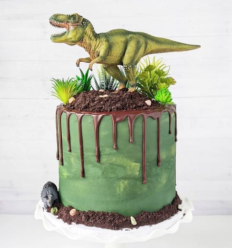 MERRI on Instagram: “Dino cake 🦖 . - - Follow @merri.bakes for more amazing cake ideas!😘 - - Credits: @caked_by_ally - #dinausor #dinausorcake #dino #dinocake…” Dinosaur Cakes For Boys, Amazing Cake Ideas, Dinasour Birthday, Dino Birthday Cake, Dinosaur Cakes, T Rex Cake, Festa Jurassic Park, Dinosaur Birthday Theme, 5th Birthday Cake