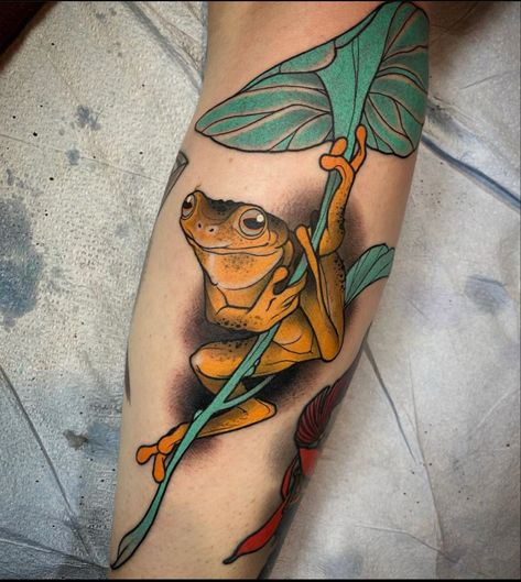 A neotraditional orange frog tattoo on the back of a calve by emmanual mendoza Neo Traditional Frog, Neotraditional Frog, Orange Frog, Tree Frog Tattoos, Tattoo On The Back, Frog Tattoo, Frog Tattoos, Frog And Toad, Tree Frogs