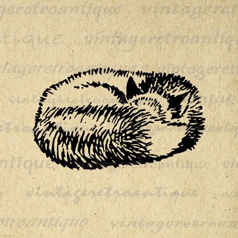 Vintage Mushroom Art, Fox Graphic, Vintage Clip Art, Vintage Fox, Fox Illustration, Line Art Tattoos, Antique Illustration, Printable Vintage, Images Vintage