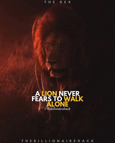 Marine Corps Quotes, Lion Warrior, Realistic Quotes, Lion King Quotes, Attitude Thoughts, Happy Anniversary Quotes, Strong Motivational Quotes, Lion Quotes, Dum Biryani