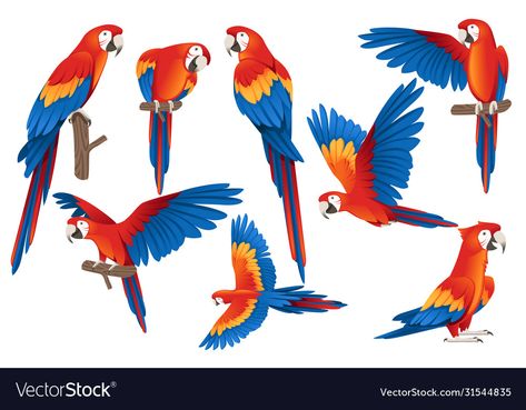 Parrot Cartoon, Macaw Art, Parrot Flying, Parrot Drawing, Cartoon Bird, Parrots Art, Ara Ara, Cartoon Birds, Macaw Parrot