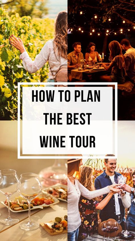 If you are in charge of the planning for your group of friends or you want to take your loved one for wine tastings and tours, we’ve got you covered. Scroll down to read our ultimate guide to plan the most perfect wine tour ever. Cowichan Valley, Wine Etiquette, Wine Basics, Wine Snacks, Wine 101, Wine Knowledge, Best Red Wine, Wine White, Wine Tourism