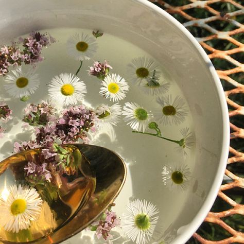 A spoonfull of spring #athstetic #photography Bloomcore Aesthetic, Spring Spa, Beauty Rituals, Aesthetic Medicine, How To Train Your Dragon, How To Train Your, Spa Day, Beautiful Photo, Genshin Impact