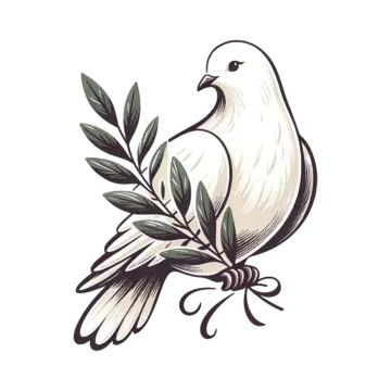 Olive Branch Illustration, Word Pictures Art, Dove Sketches, Dove Olive Branch, Dove Drawing, Branch Illustration, Dove Peace, Branch Vector, White Dove