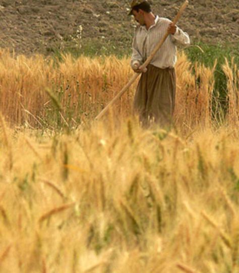 Farmer Medieval Farmer Aesthetic, Farmers Aesthetic, Farmer Aesthetic Man, Farmer Boy Aesthetic, Farmer Boy, Of Mice And Men, Great House, Story Inspiration, 17th Century