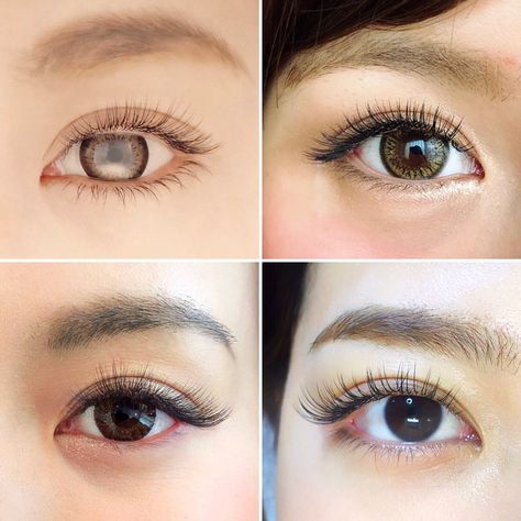 Classic Lashes Asian Eyes, Classic Lash Extensions Asian Eyes, Lash Extensions Asian Eyes, Eyelash Extensions Classic, Eyelash Extensions Styles, Makeup 101, Kawaii Makeup, Natural Eyelash Extensions, Eyelash Extentions