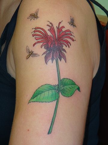 bee balm tattoo Bee Balm Tattoo, Prairie Tattoo, Survivor Tattoo, Feminist Tattoo, Bee Images, Bee Balm, Tattoo Ink, Western Shirts, Tattoo Images