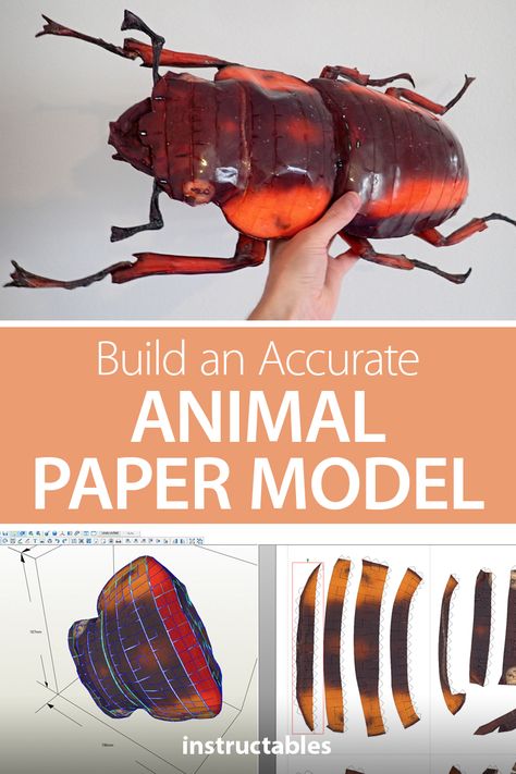 Papercraft Printable Free Paper Models, Cardboard Beetle, Paper Taxidermy Template Free Printable, Paper Beetle, Isopod Papercraft, Cardboard Insects Sculpture, Paper Crafts Printable, Kirigami Patterns, Paper Halloween Decorations