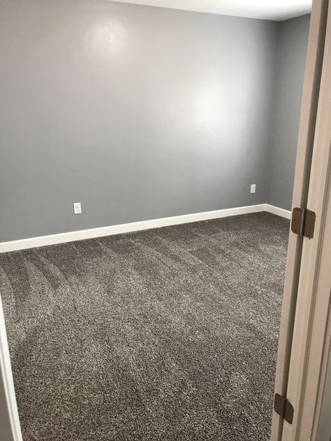 Room Ideas With Grey Carpet, Gray Carpet Nursery, Basement Carpet And Paint Combinations, Dark Gray Carpet Living Room Ideas, Gray Walls Gray Carpet, Gray Walls Carpet Color, Paint With Gray Carpet, Gray Walls With Carpet, Dark Carpet Basement