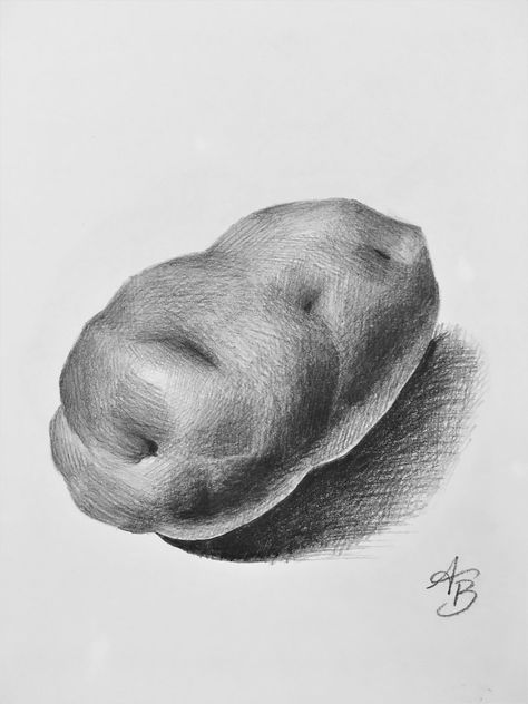 Sketches for the day 'Potato' #sketch #sketches #charcoal #livedrawing #drawing #fineart #artwork #black #pencil #handdrawn #drawn #doodle #abbywatermark Object Drawing Realistic, Natural Objects Drawing, Potato Sketch, Household Drawing, Object Sketches, Headphone Sketch, Potato Drawing, Carrot Drawing, Fruit Sketch