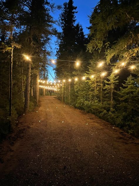 Fairy Trail In Woods, Lights In The Woods, Farm Estate, Fairy Lights Wedding, Fantasy Garden, Sycamore Tree, Bistro Lights, Dream Property, Garden Angels