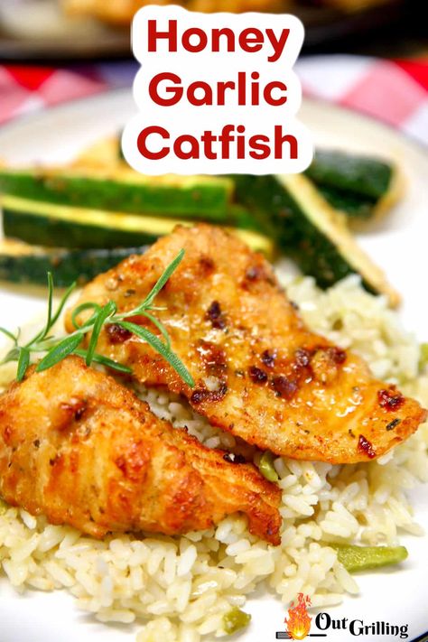 Honey Garlic Catfish has a sticky, sweet, garlicky glaze and can be grilled in about 15 minutes for a quick and easy dinner. Honey Garlic Fish, Catfish Recipes Grilled, California Fish Grill Copycat, Grilled Catfish Recipes Foil, Frozen Catfish Fillet Recipes, Easy Catfish Recipes, Broiled Catfish Recipes, Sides For Grilled Fish, Catfish Side Dishes