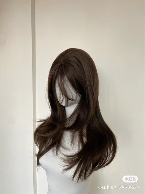 Hair Claims For Dr, Cascade Haircut, Hair Claim, Hair Claims, Black Lace Wig, Hair Stages, Pretty Hair Cuts, Haircuts For Long Hair With Layers, Brown Hair Inspo