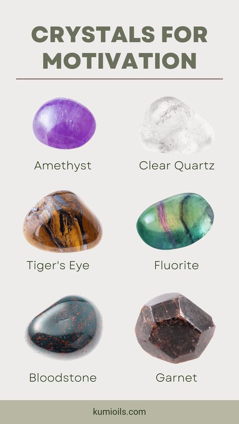 If you’re looking for some help with motivation, consider starting a crystal collection that features motivation stones. Check out these crystals for motivation. Crystals For Motivation, Crystal Types, Geology Rocks Mineral, Oils For Energy, Stone Meanings, Gemstones Chart, Crystal Healing Chart, Intention Bracelets, Cleansing Stones