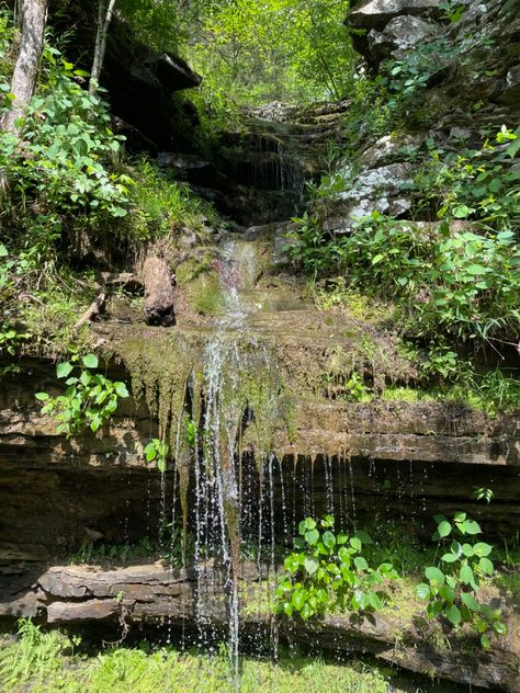 hiked devil’s den trail at devil’s den state park in winslow, arkansas! hiking trail, midwest travel, summer adventure, northwest arkansas travel, arkansas travel guide. Arkansas Hikes, Hardy Arkansas, Ouachita National Forest Arkansas, Mountain View Arkansas, Forrest City Arkansas, Dark Naturalism, Arkansas Travel, Arkansas State, Northwest Arkansas