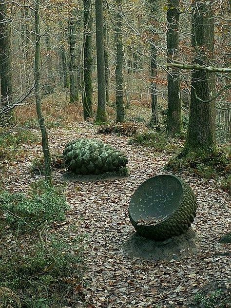 Land Art, Vessel Sculpture, Nature Verte, Forest Walk, Forest Of Dean, Wood Sculptures, Earth Art, Outdoor Sculpture, Outdoor Art