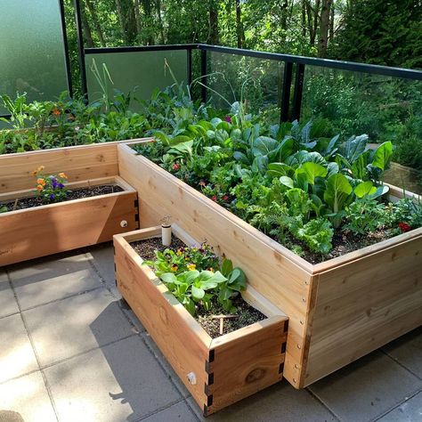 Terrace Raised Garden Beds, Balcony Raised Garden Bed, Mini Garden On Balcony, Urban Raised Garden Beds, Portable Veggie Garden, Balcony Garden Bed, Mini Patio Garden, Balcony Veggie Garden Apartments, Mini Outdoor Patio