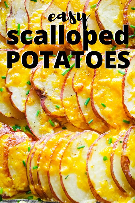 Cheese Red Potatoes, Red Potato Side Dish, Scalloped Red Potatoes Cheesy, Red Potatoes Side Dish, Potato Recipes Red Potatoes, Ideas For Red Potatoes, Sliced Red Potato Recipes, Scalloped Red Potatoes Easy, Red Skin Scalloped Potatoes