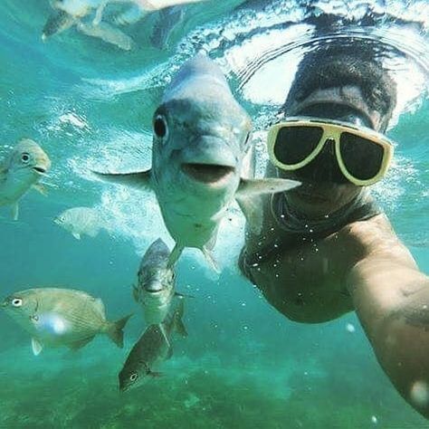 Underwater Vacation Photos, Go Pro Underwater Photos, Cute Underwater Pictures, Underwater Instagram Pictures, Underwater Pics Aesthetic, Snorkelling Pics, Underwater Photography Aesthetic, Underwater Camera Aesthetic, Under Water Pictures