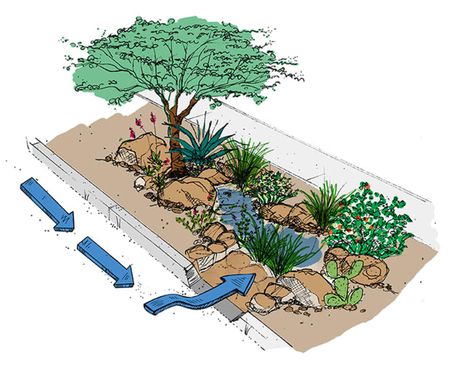 Stormwater Management Design, Rain Garden Design, Craftsman Interior Design, Streetscape Design, Rain Harvesting, Rain Gardens, Stormwater Management, Permaculture Design, Garden Harvest