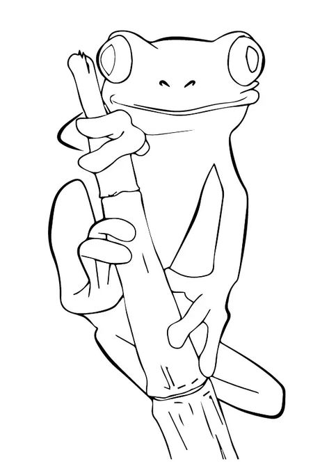 Frog Outline, Frog Coloring, Frog Coloring Pages, Arte Indie, Frog Tattoos, Frog Drawing, Frog Art, Tree Frog, A Frog